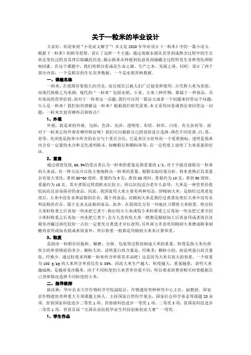 关于一粒米的毕业设计