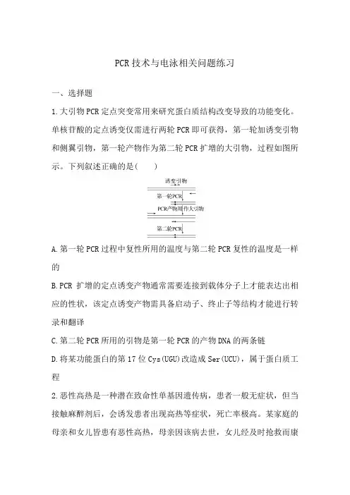 高中生物一轮复习同步练习：PCR技术与电泳相关问题