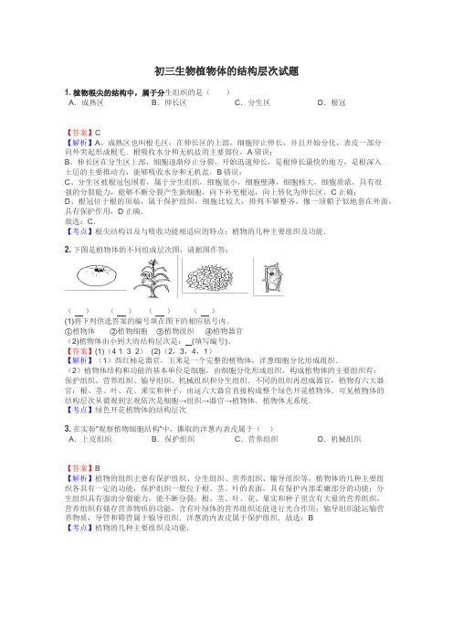 初三生物植物体的结构层次试题
