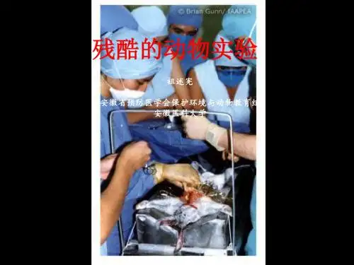 《实验动物伦理》PPT课件