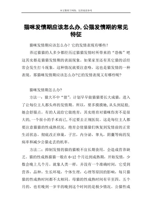 猫咪发情期应该怎么办,公猫发情期的常见特征