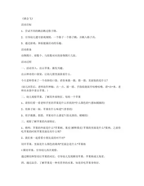 (优秀课件)-学前班数学公开课教案 第15课《谁会飞》(第十版教案)