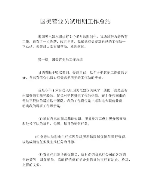 国美营业员试用期工作总结