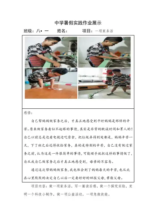 青岛路中学暑假实践作业展示模板