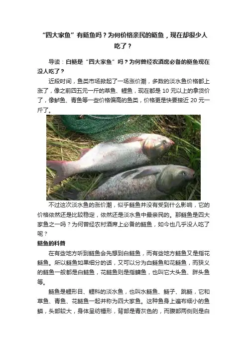 “四大家鱼”有鲢鱼吗？为何价格亲民的鲢鱼，现在却很少人吃了？