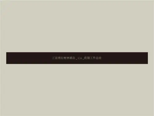 三亚红树林总结
