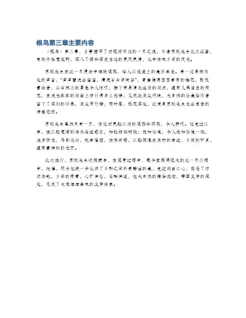 根鸟第三章主要内容