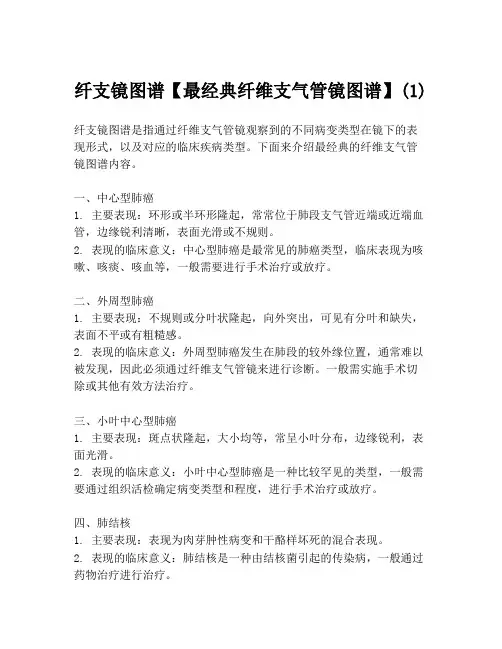 纤支镜图谱【最经典纤维支气管镜图谱】(1)