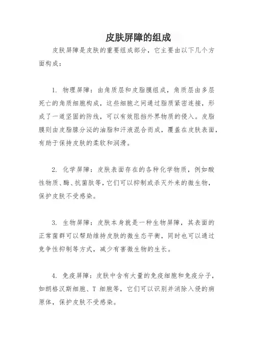 皮肤屏障的组成