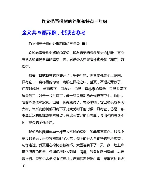 作文描写松树的外形和特点三年级
