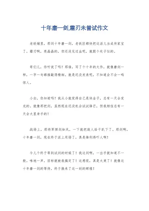 十年磨一剑,霜刃未曾试作文