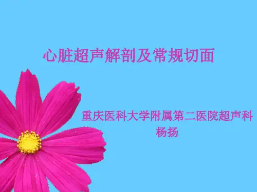 心脏超声解剖及常规切面示教11