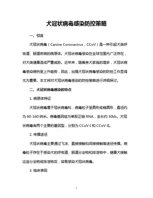 犬冠状病毒感染防控策略