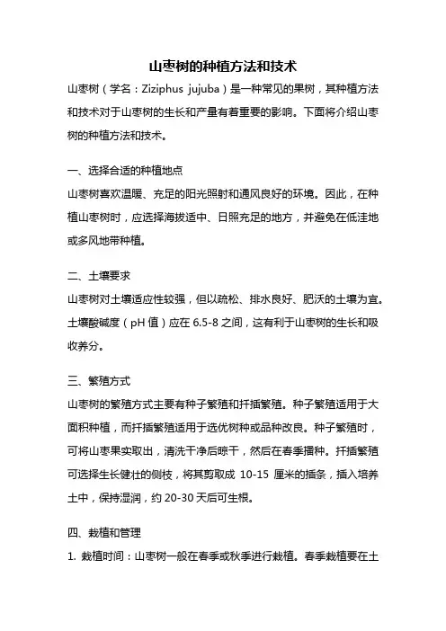 山枣树的种植方法和技术