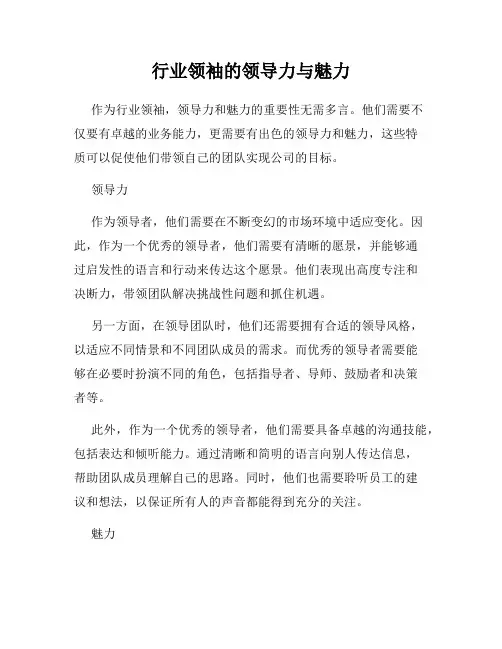行业领袖的领导力与魅力