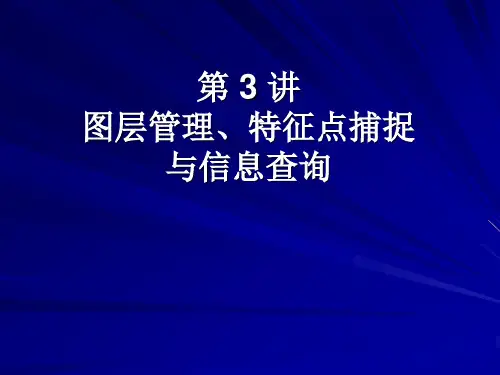 CAD  图层管理与精确绘图
