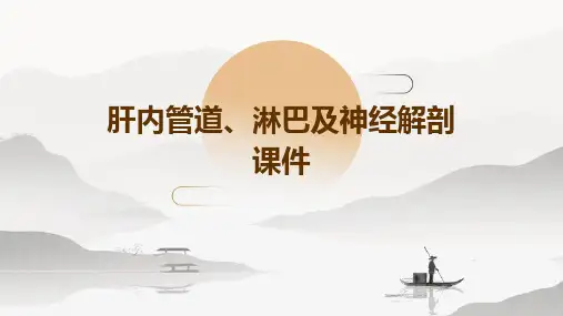 肝内管道、淋巴及神经解剖课件自己做的