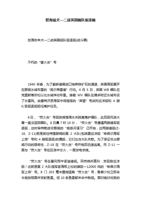 怒海猛犬—二战英国舰队驱逐舰