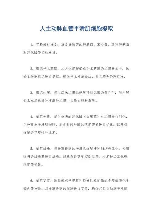 人主动脉血管平滑肌细胞提取