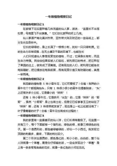一年级植物观察日记