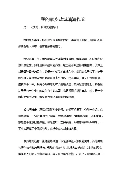 我的家乡盐城滨海作文