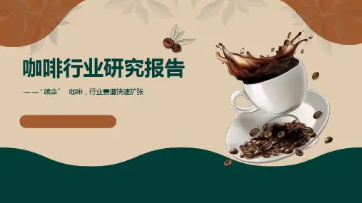 研究报告PPT案例