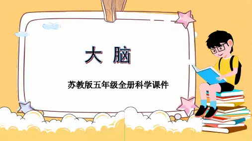 苏教版五年级全册科学《大脑》课件PPT模板