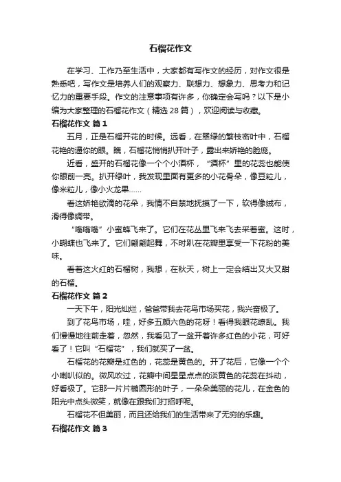 石榴花作文（精选28篇）