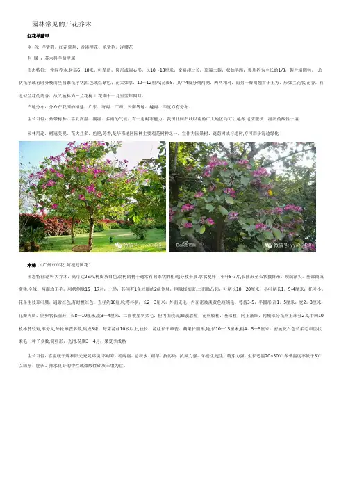 园林常见的开花乔木