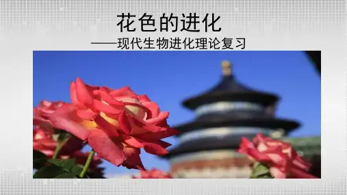 2024届高三一轮复习生物：生物的进化课件