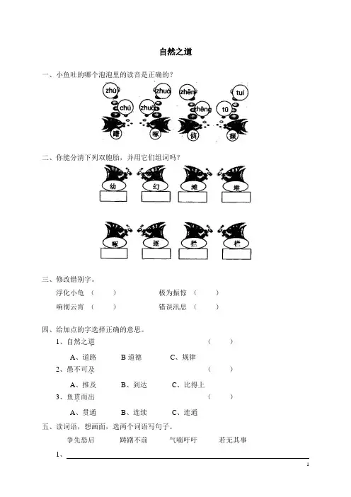 人教新课标语文四年级下册9自然之道(含答案)