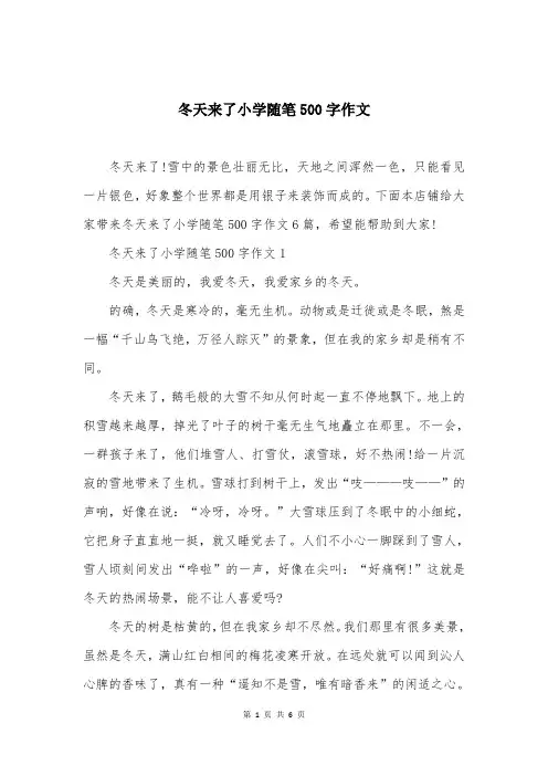 冬天来了小学随笔500字作文