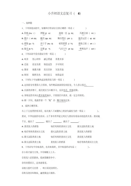 【小升初语文毕业考试】2019年小升初语文知识专项训练总复习试卷及答案解析(WORD版427页)