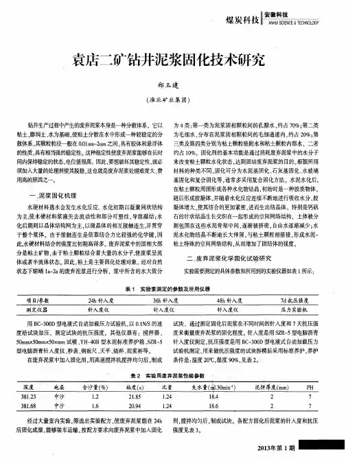 袁店二矿钻井泥浆固化技术研究