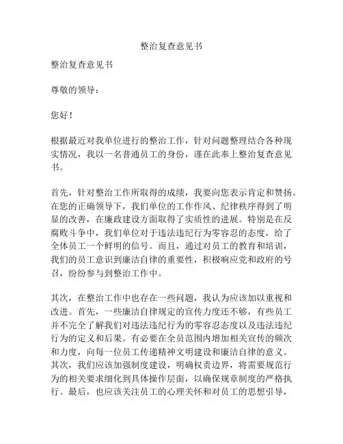 整治复查意见书