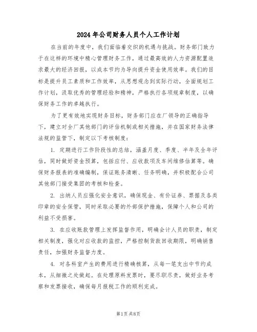 2024年公司财务人员个人工作计划（五篇）