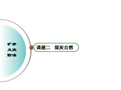 煤炭自燃