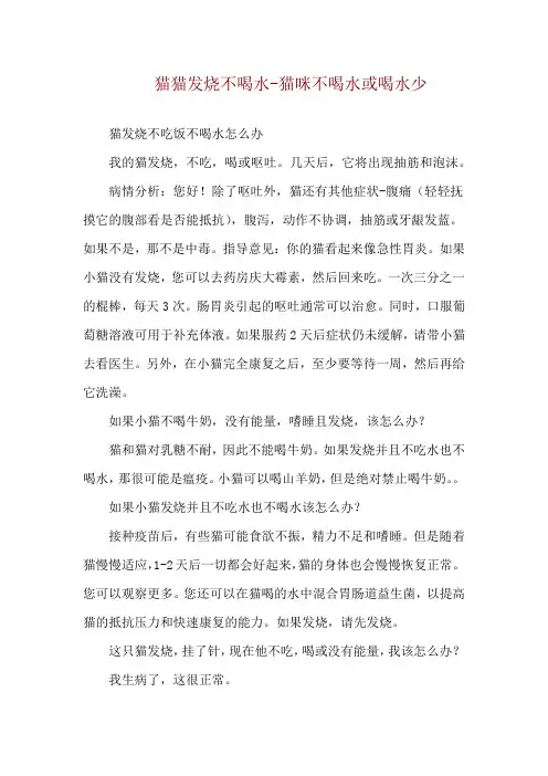 猫猫发烧不喝水-猫咪不喝水或喝水少