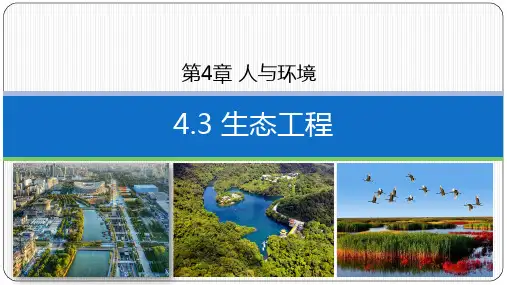 生态工程课件高二上学期生物人教版选择性必修2