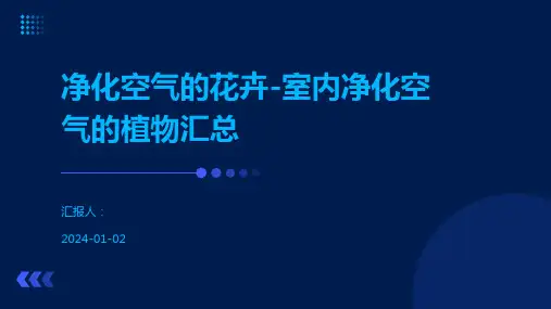 净化空气的花卉-室内净化空气的植物汇总