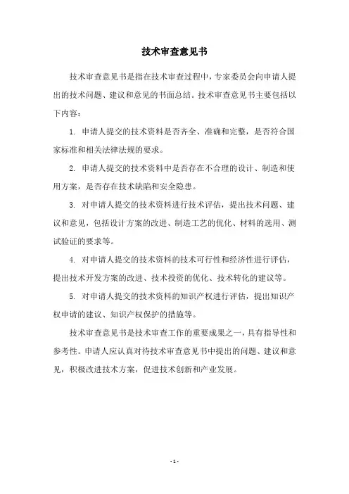 技术审查意见书
