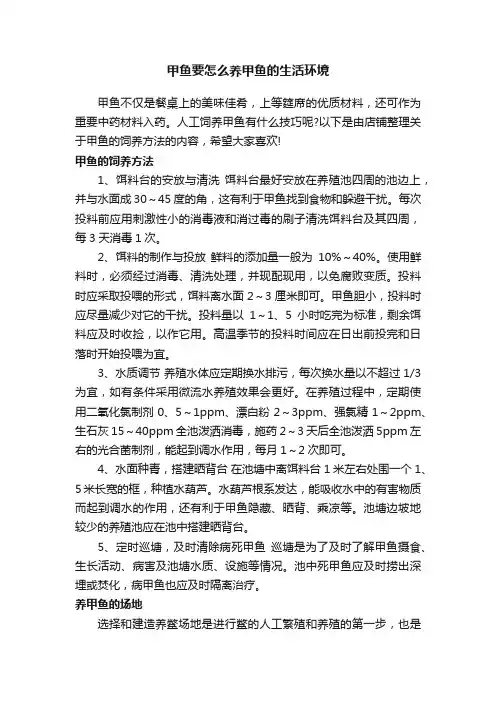 甲鱼要怎么养甲鱼的生活环境