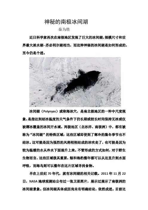 神秘的南极冰间湖