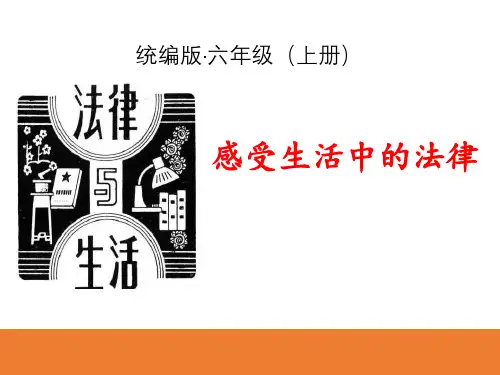 感受生活中的法律_我们的守护者PPT精品系列