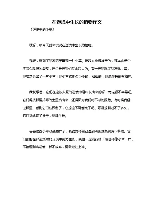 在逆境中生长的植物作文