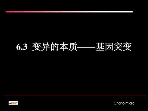 6.3 变异的本质——基因突变