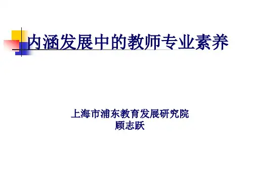 内涵发展中的教师专业素养概述
