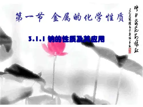 钠的性质及用途 高中化学必修一教学课件PPT 人教版