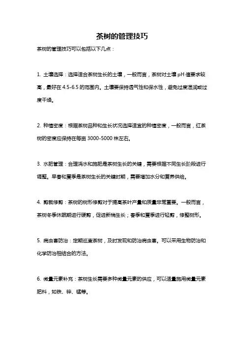 茶树的管理技巧