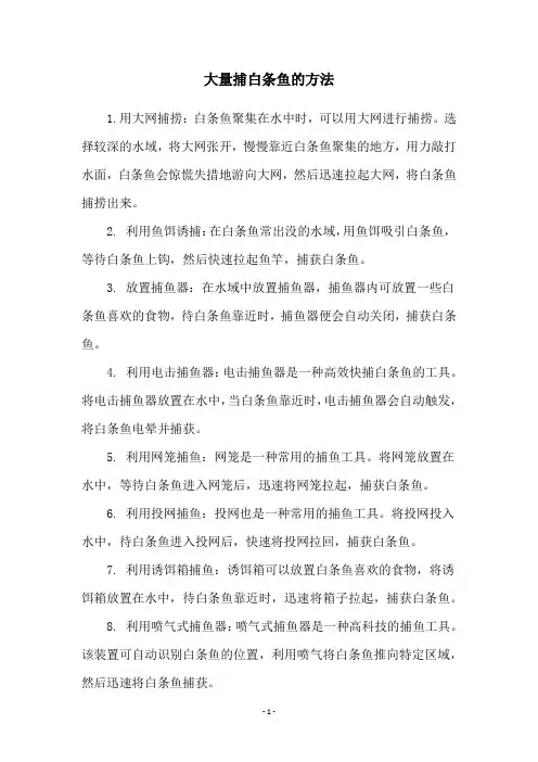 大量捕白条鱼的方法